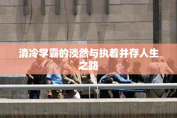 清冷学霸的淡然与执着并存人生之路