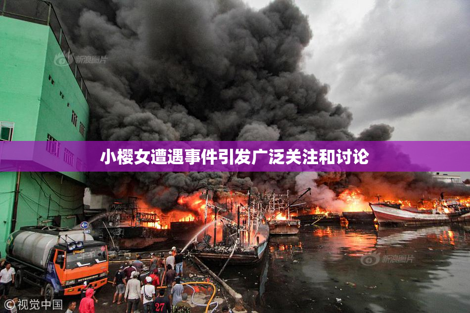 小樱女遭遇事件引发广泛关注和讨论