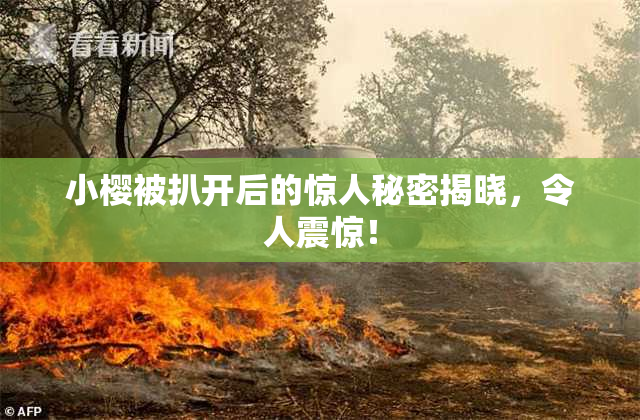 小樱被扒开后的惊人秘密揭晓，令人震惊！