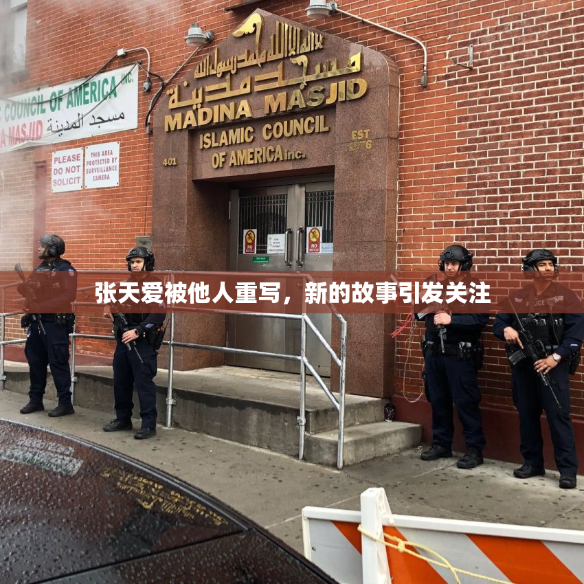 张天爱被他人重写，新的故事引发关注