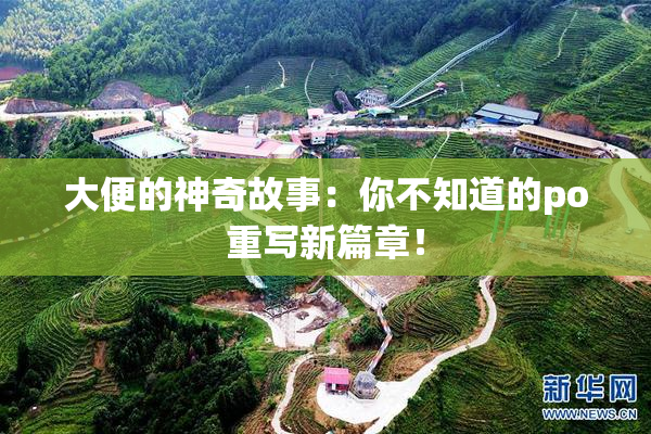 大便的神奇故事：你不知道的po重写新篇章！