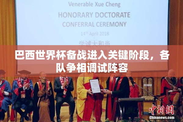 巴西世界杯备战进入关键阶段，各队争相调试阵容