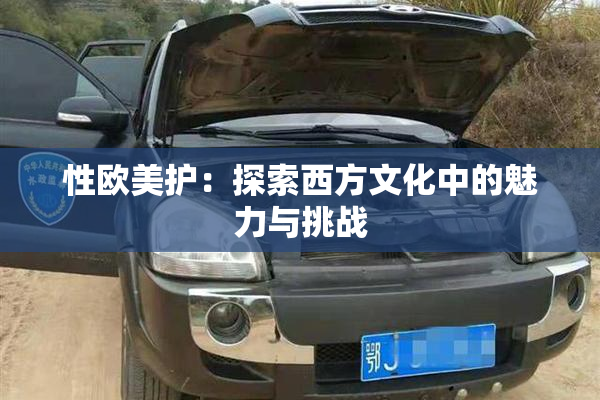 性欧美护：探索西方文化中的魅力与挑战