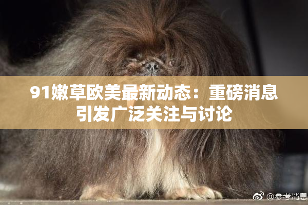91嫩草欧美最新动态：重磅消息引发广泛关注与讨论