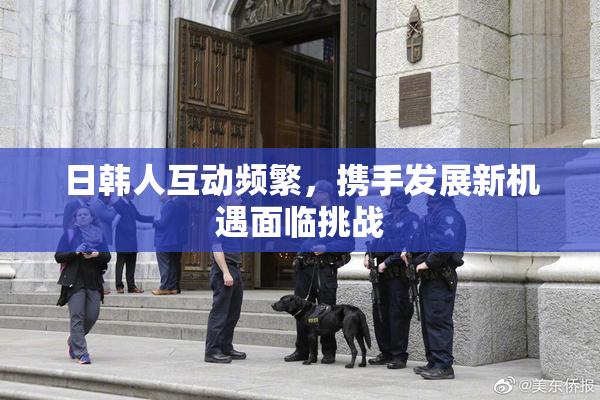 日韩人互动频繁，携手发展新机遇面临挑战