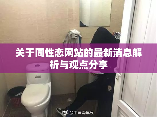 关于同性恋网站的最新消息解析与观点分享