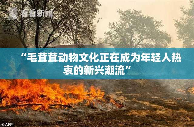 “毛茸茸动物文化正在成为年轻人热衷的新兴潮流”