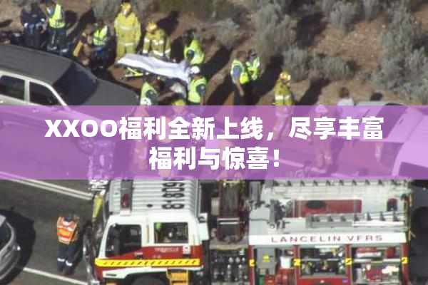 XXOO福利全新上线，尽享丰富福利与惊喜！