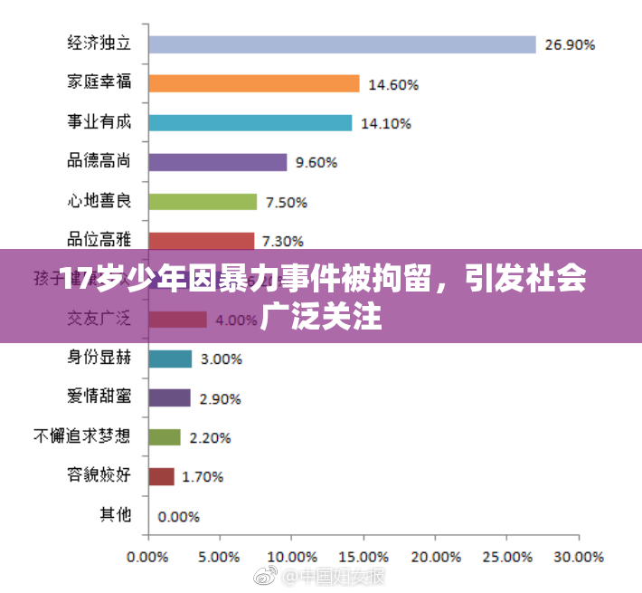 17岁少年因暴力事件被拘留，引发社会广泛关注