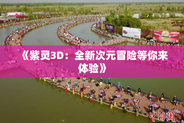 《紫灵3D：全新次元冒险等你来体验》