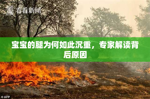 宝宝的腿为何如此沉重，专家解读背后原因
