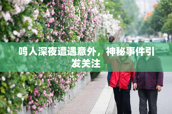 鸣人深夜遭遇意外，神秘事件引发关注
