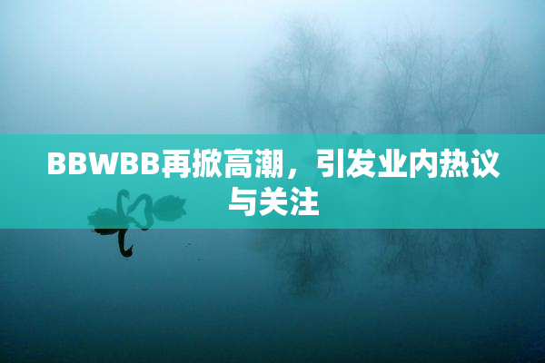 BBWBB再掀高潮，引发业内热议与关注