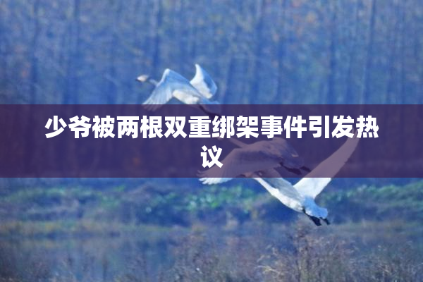 少爷被两根双重绑架事件引发热议