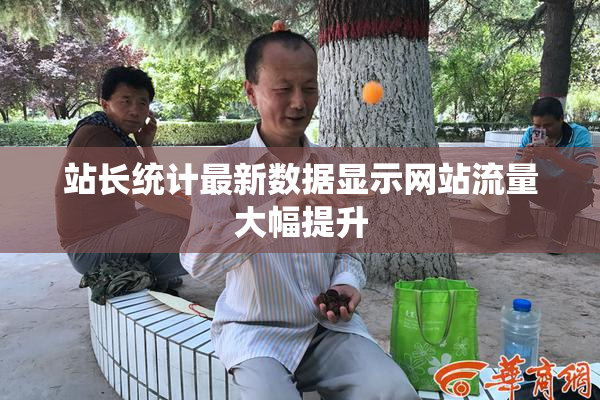 站长统计最新数据显示网站流量大幅提升