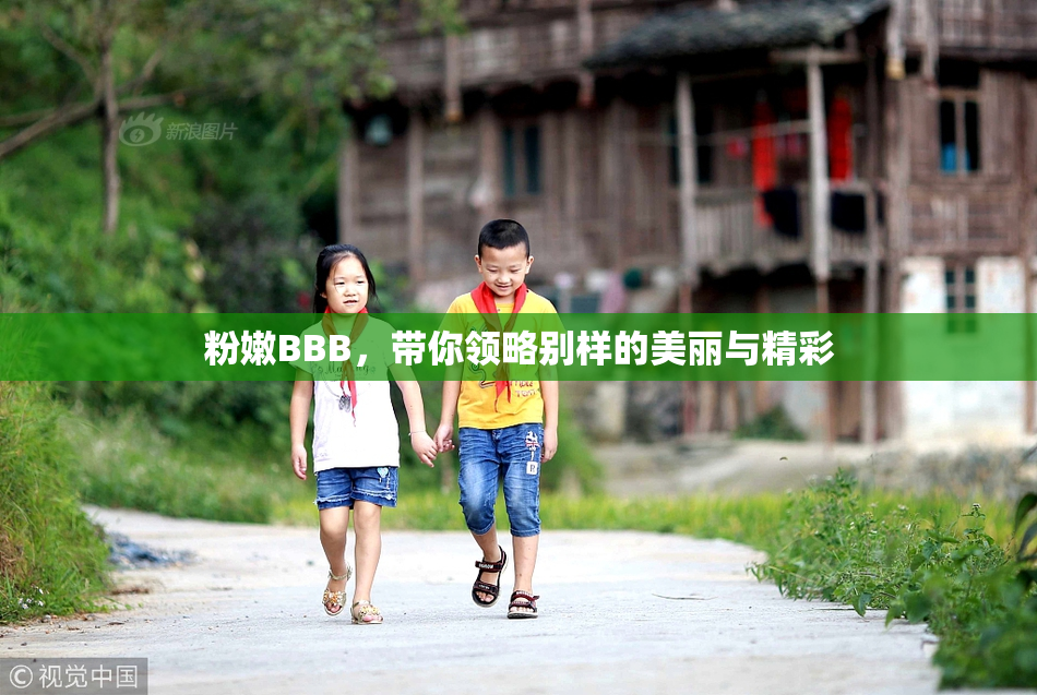 粉嫩BBB，带你领略别样的美丽与精彩
