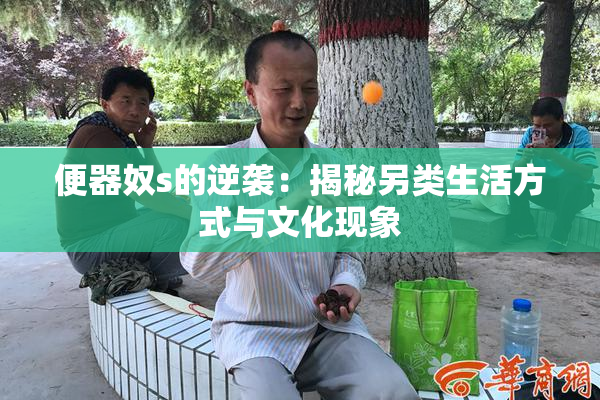 便器奴s的逆袭：揭秘另类生活方式与文化现象