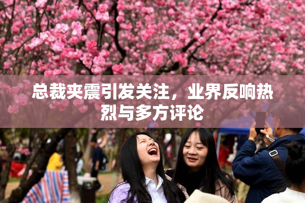 总裁夹震引发关注，业界反响热烈与多方评论