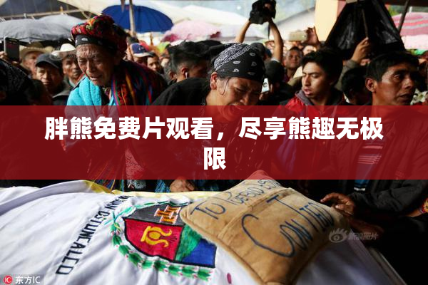 胖熊免费片观看，尽享熊趣无极限