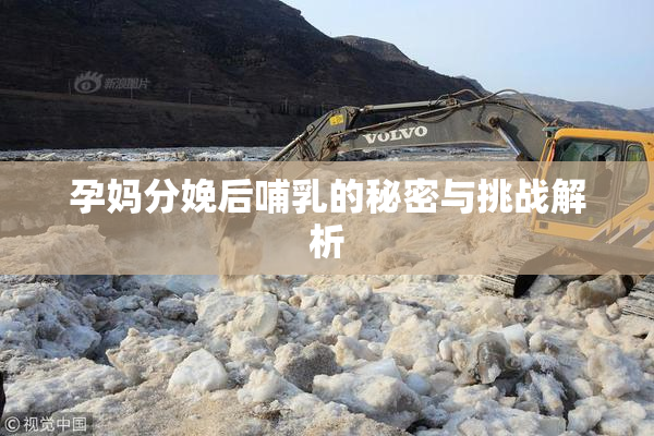 孕妈分娩后哺乳的秘密与挑战解析