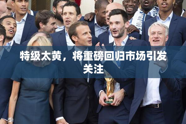 特级太黄，将重磅回归市场引发关注