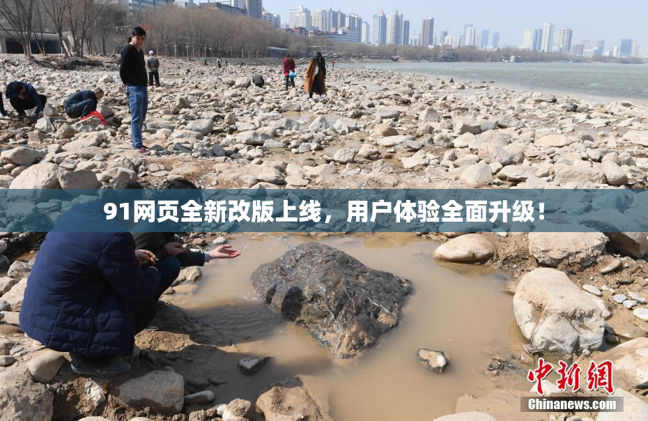 91网页全新改版上线，用户体验全面升级！