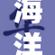 海洋精品91：引领潮流的时尚新选择