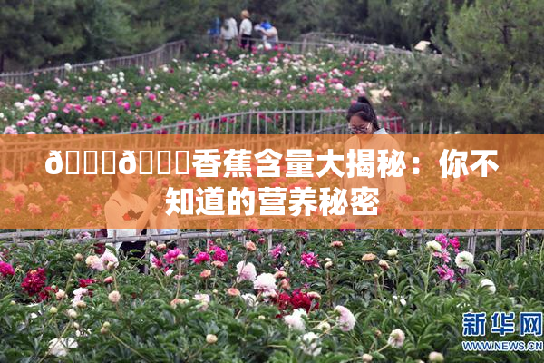 🔞🔞香蕉含量大揭秘：你不知道的营养秘密