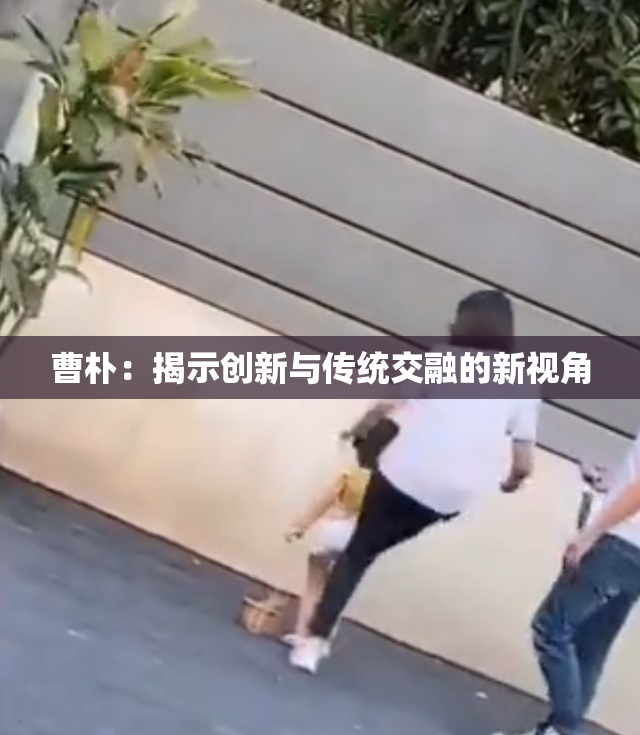 曹朴：揭示创新与传统交融的新视角