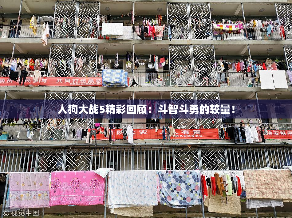 人狗大战5精彩回顾：斗智斗勇的较量！