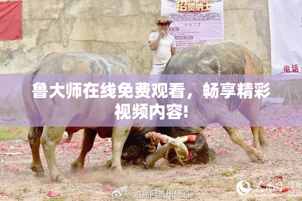 鲁大师在线免费观看，畅享精彩视频内容!