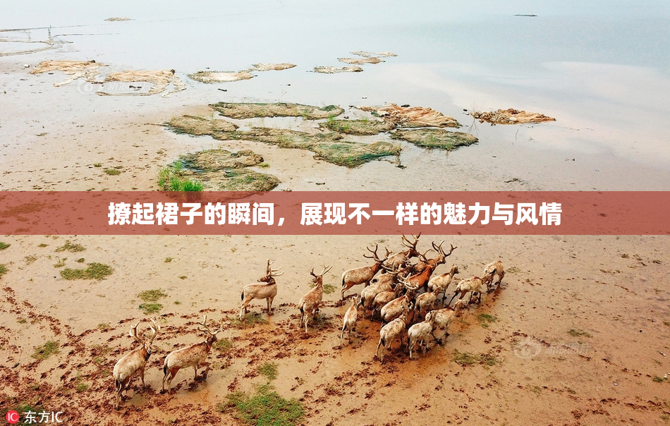 撩起裙子的瞬间，展现不一样的魅力与风情