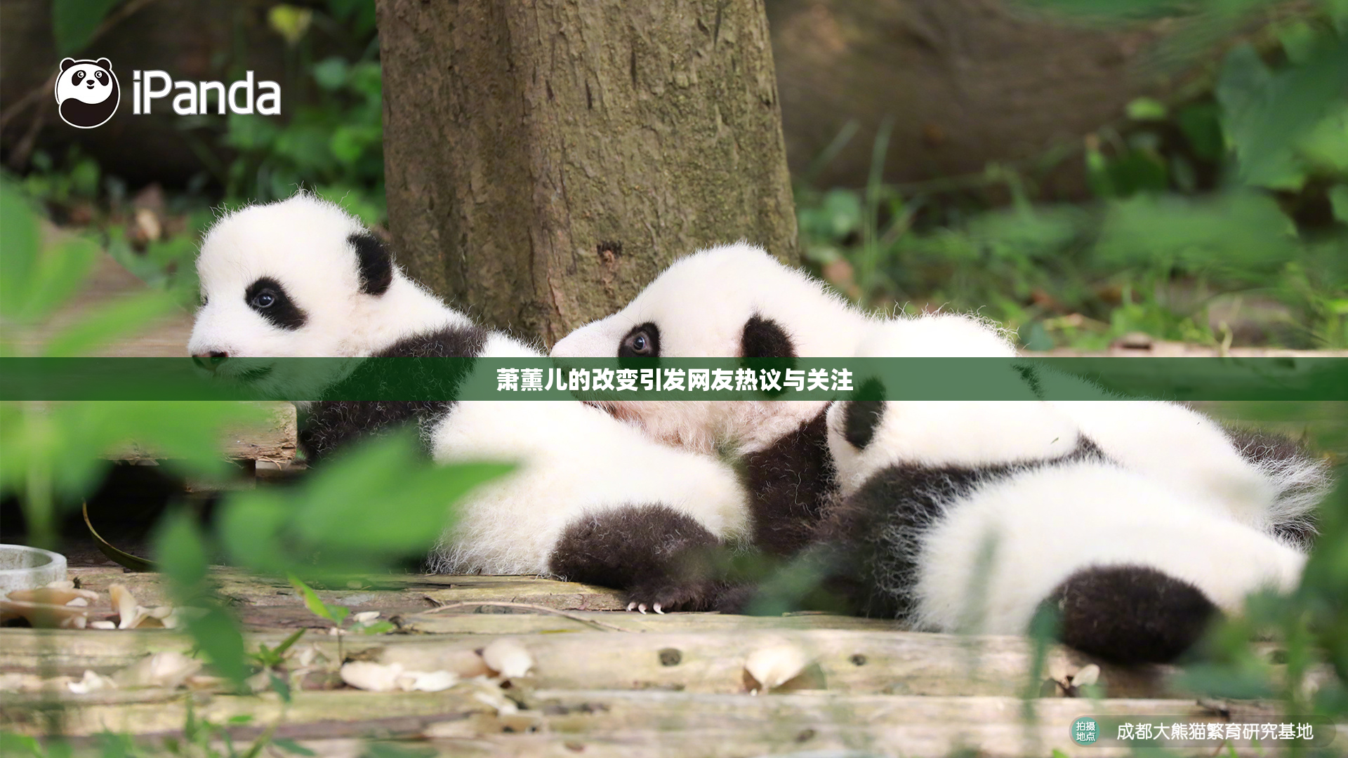 萧薰儿的改变引发网友热议与关注