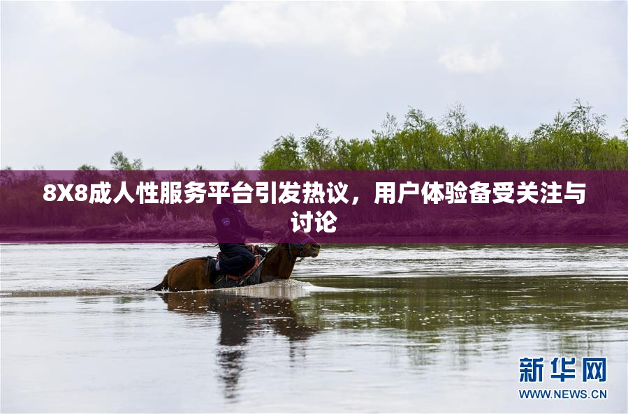 8X8成人性服务平台引发热议，用户体验备受关注与讨论