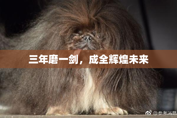 三年磨一剑，成全辉煌未来