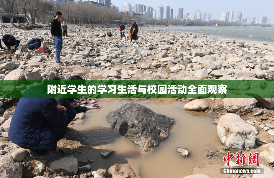 附近学生的学习生活与校园活动全面观察