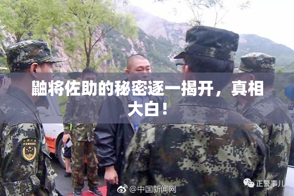 鼬将佐助的秘密逐一揭开，真相大白！