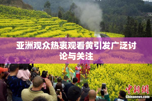 亚洲观众热衷观看黄引发广泛讨论与关注