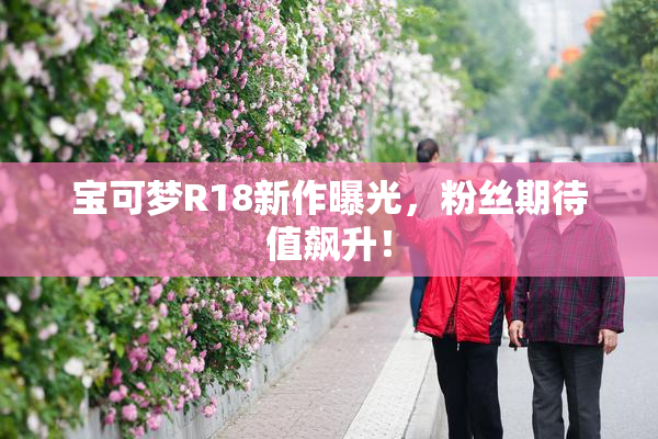 宝可梦R18新作曝光，粉丝期待值飙升！