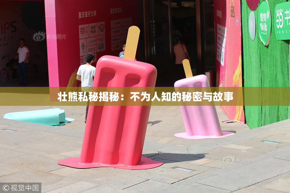 壮熊私秘揭秘：不为人知的秘密与故事