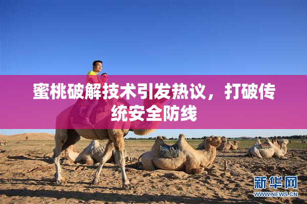 蜜桃破解技术引发热议，打破传统安全防线