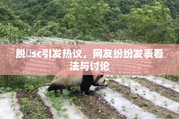 脱糞sc引发热议，网友纷纷发表看法与讨论