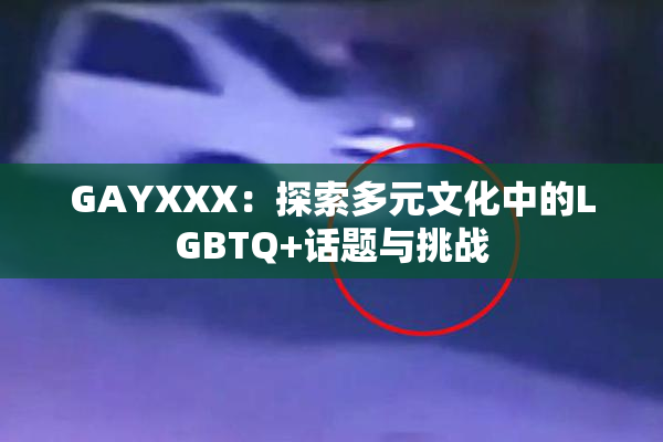 GAYXXX：探索多元文化中的LGBTQ+话题与挑战