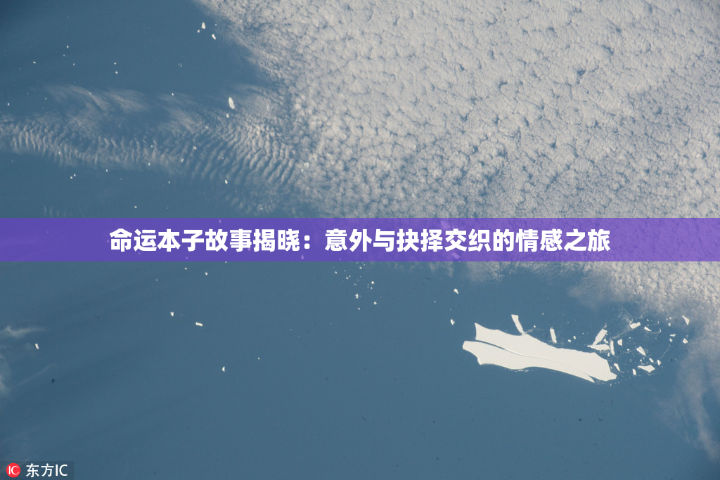 命运本子故事揭晓：意外与抉择交织的情感之旅