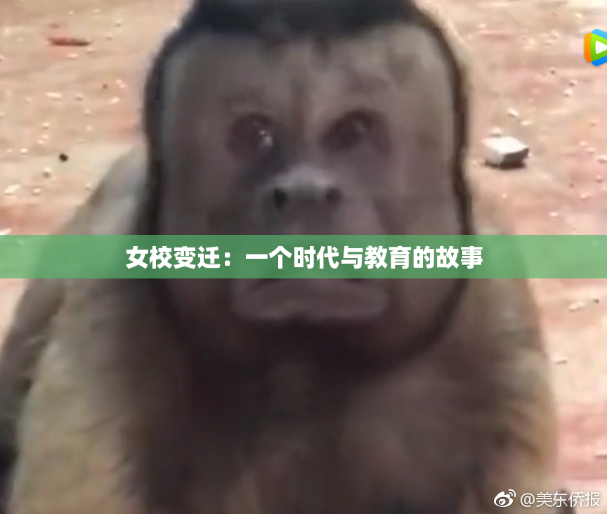 女校变迁：一个时代与教育的故事