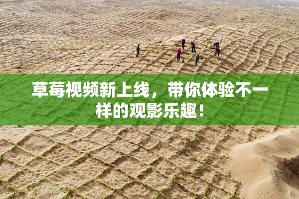 草莓视频新上线，带你体验不一样的观影乐趣！