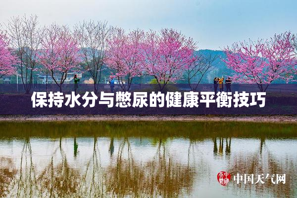 保持水分与憋尿的健康平衡技巧
