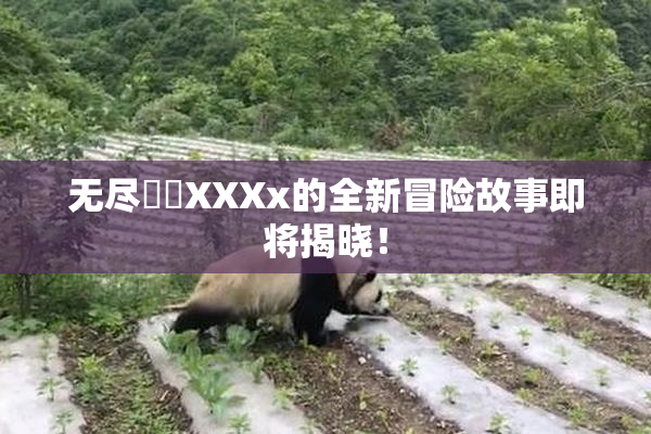 无尽❌‌XXXx的全新冒险故事即将揭晓！