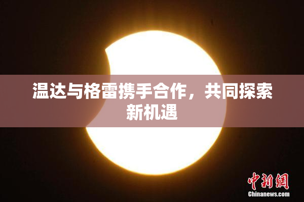 温达与格雷携手合作，共同探索新机遇