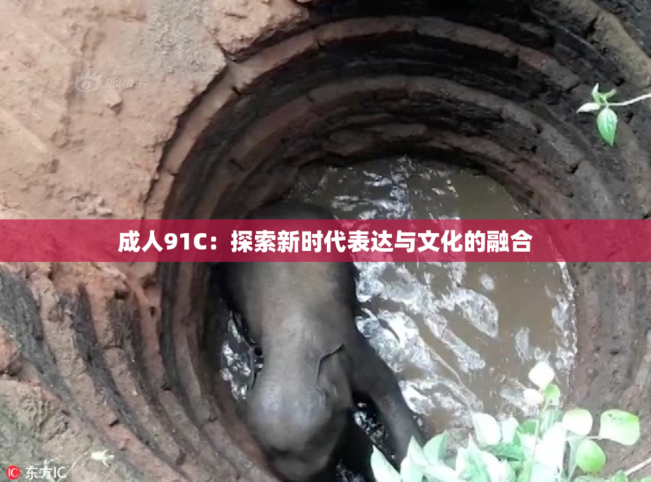 成人91C：探索新时代表达与文化的融合